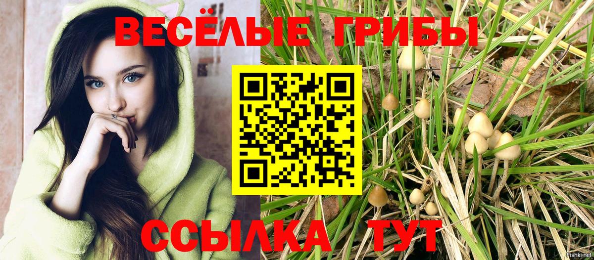 Псилоцибиновые грибы GOLDEN TEACHER Набережные Челны